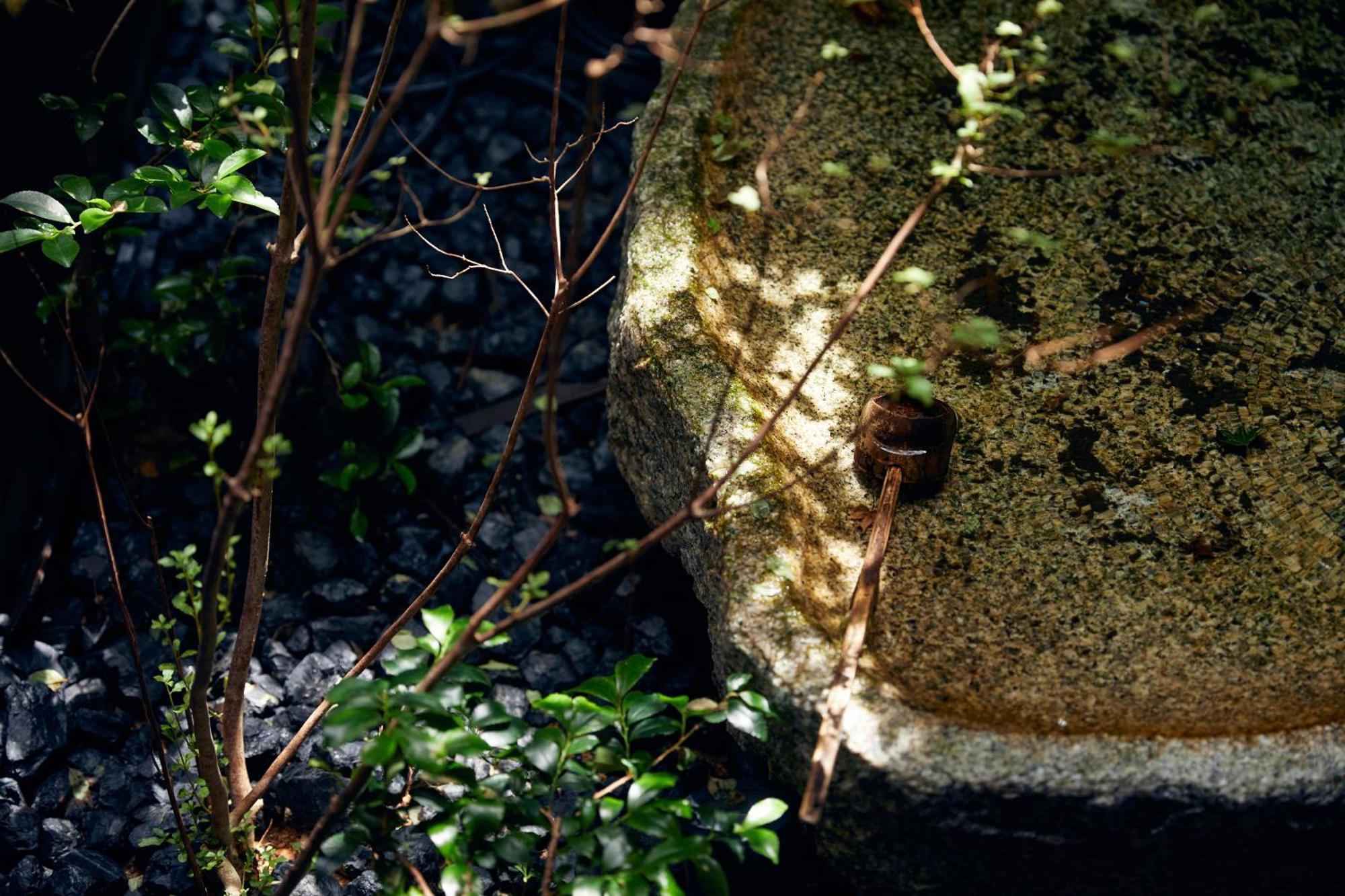 Yadoru Kyoto Hanare Mizunoe No Yado 外观 照片